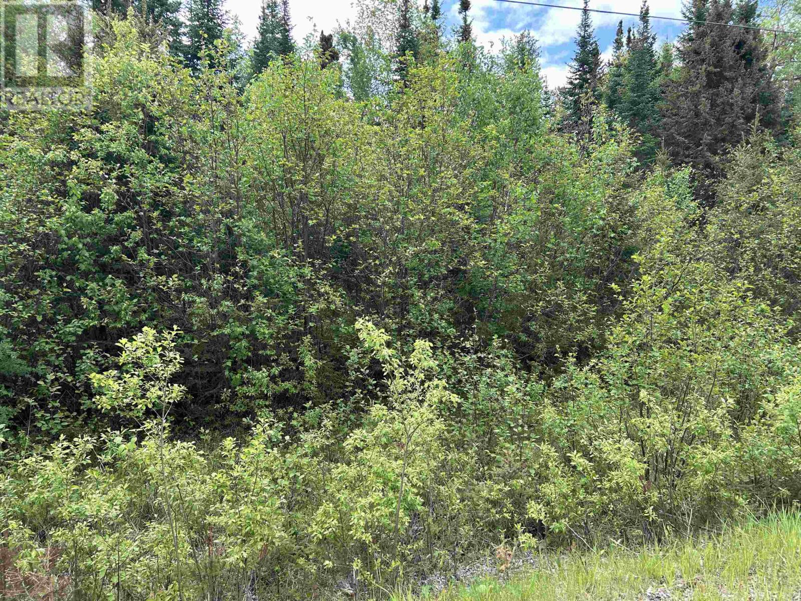 Lot 5 Eagle Bay Road, Kenora, Ontario  P9N 4L3 - Photo 8 - TB2601392