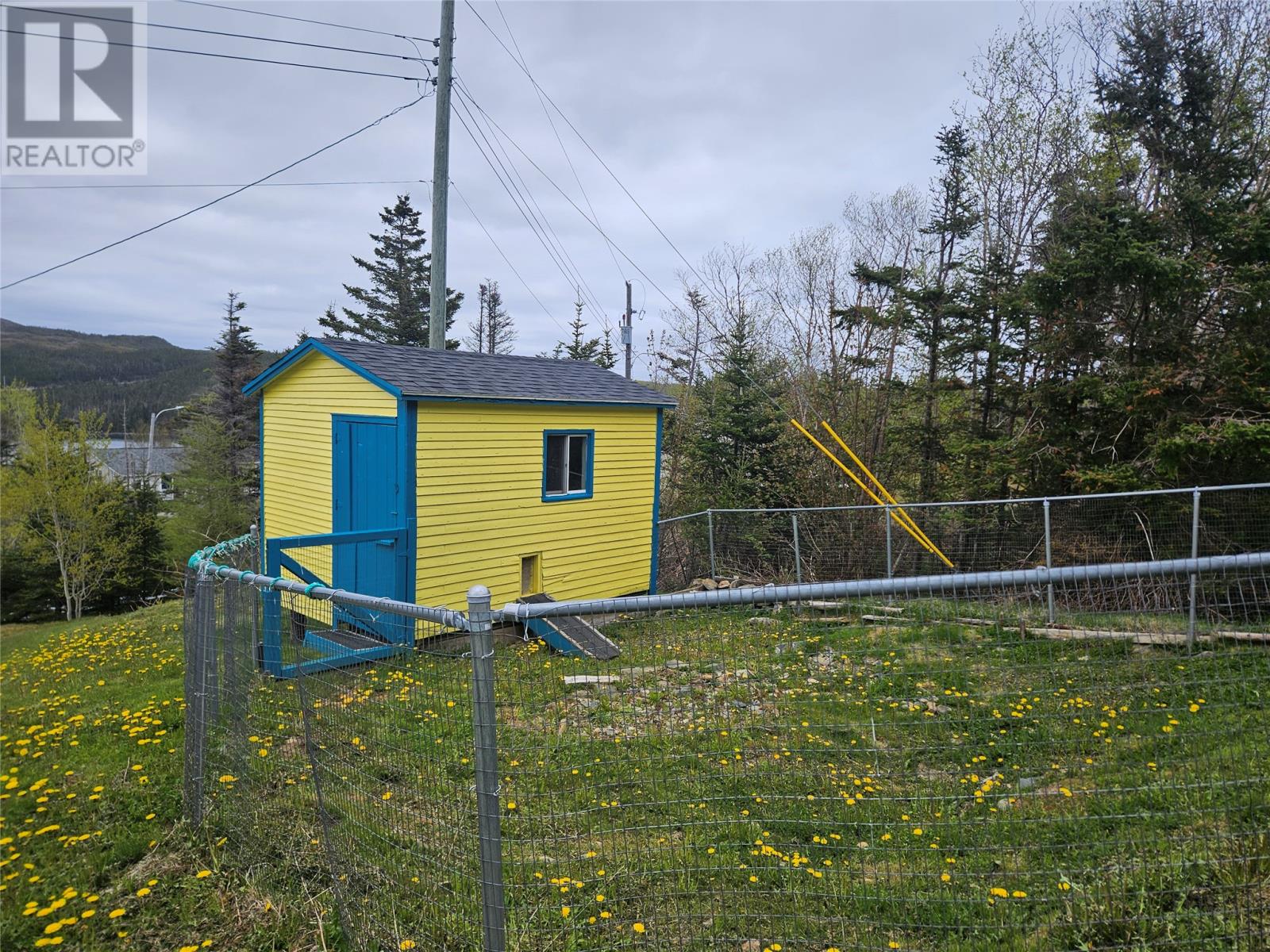 Photo 29