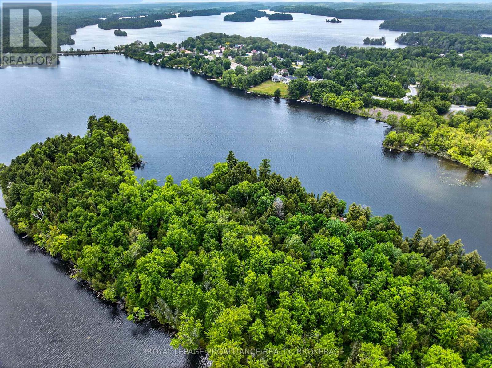 Pt Island B Gracey's Island, Frontenac, Ontario  K0H 2P0 - Photo 14 - X12787966