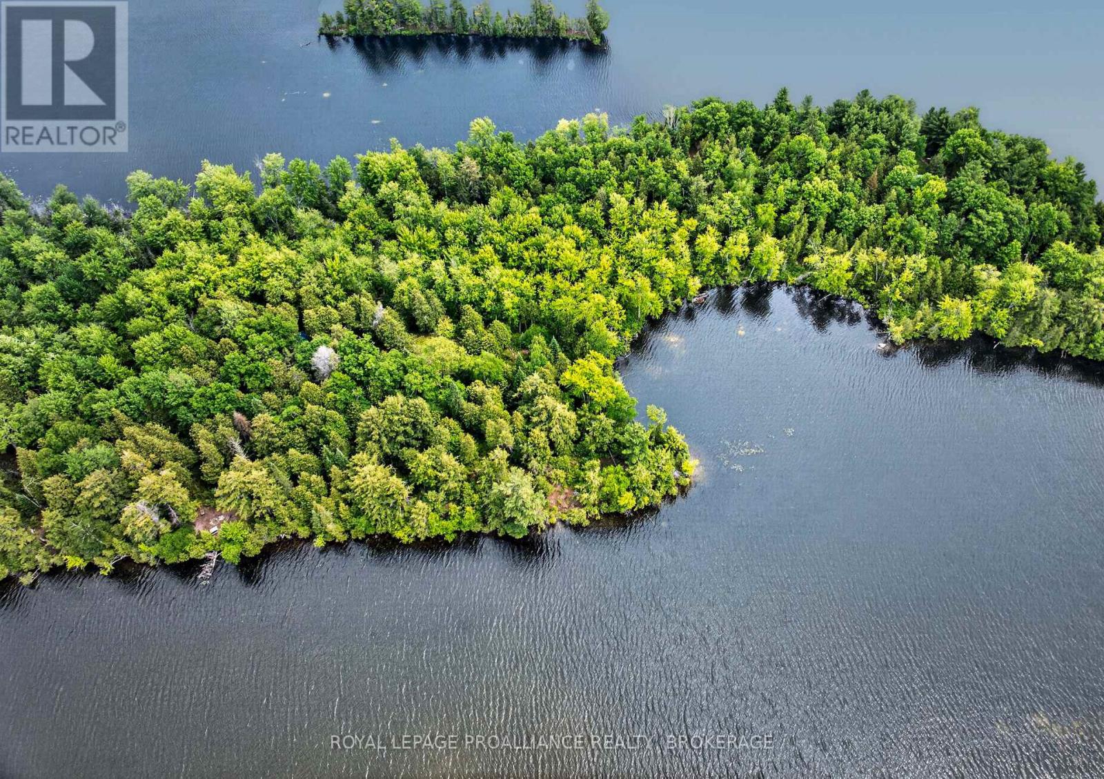 Pt Island B Gracey's Island, Frontenac, Ontario  K0H 2P0 - Photo 15 - X12787966
