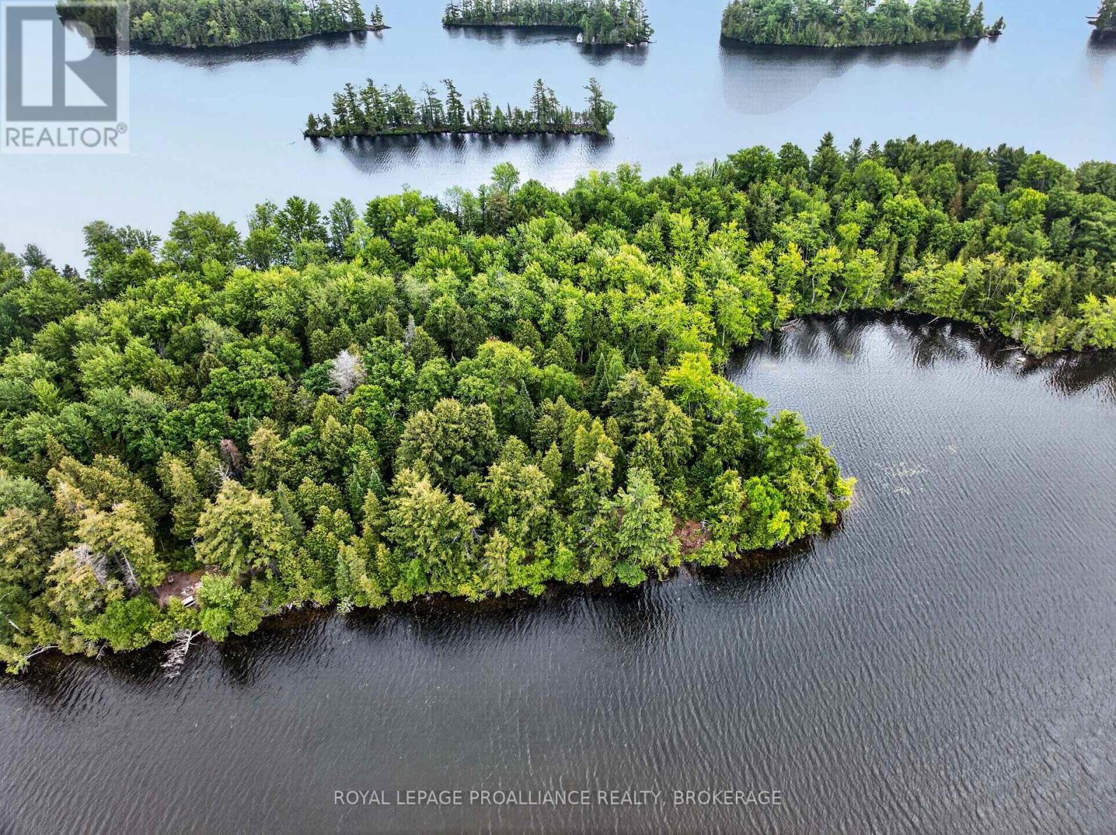 Pt Island B Gracey's Island, Frontenac, Ontario  K0H 2P0 - Photo 11 - X12787966