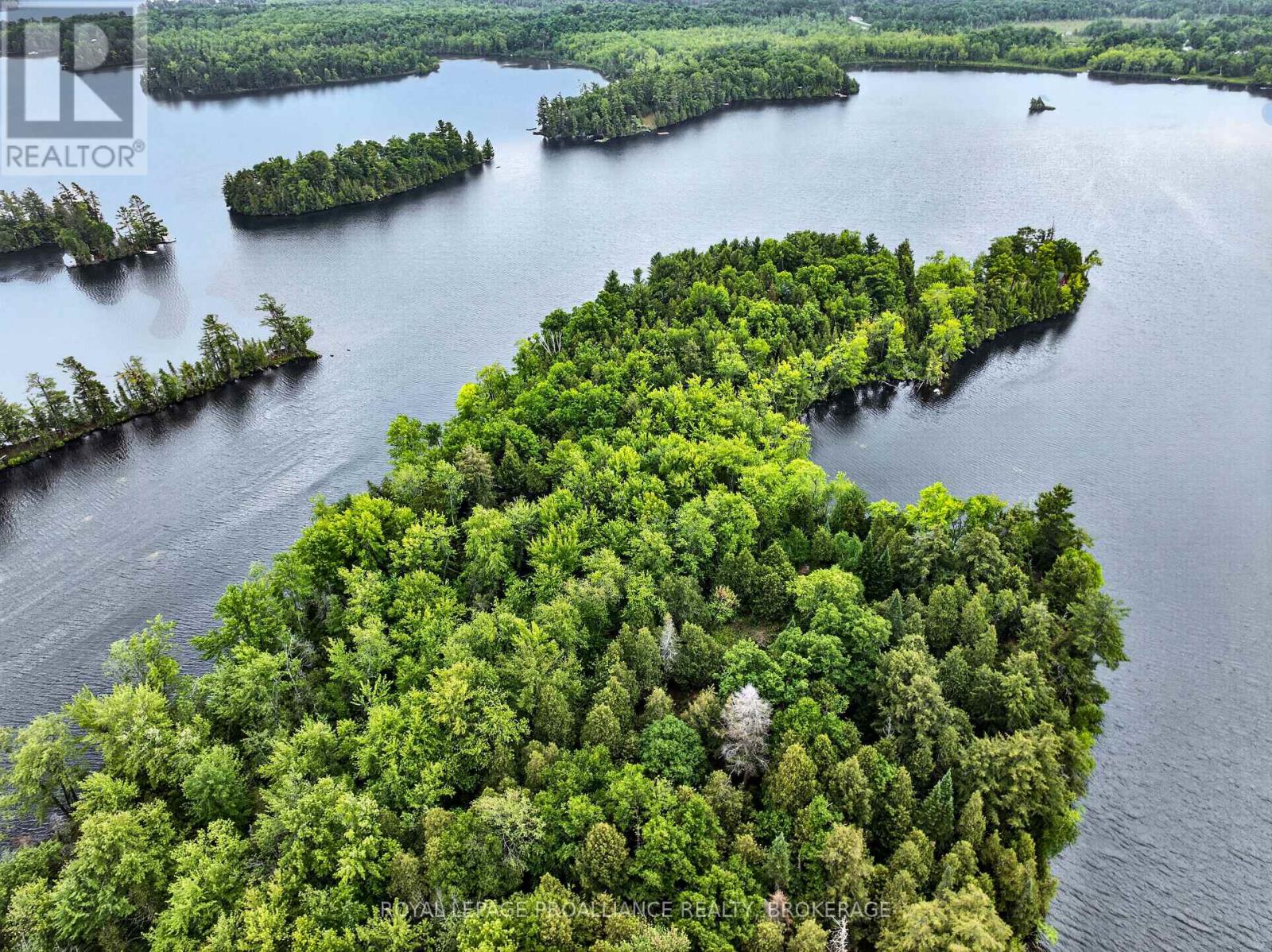 Pt Island B Gracey's Island, Frontenac, Ontario  K0H 2P0 - Photo 8 - X12787966