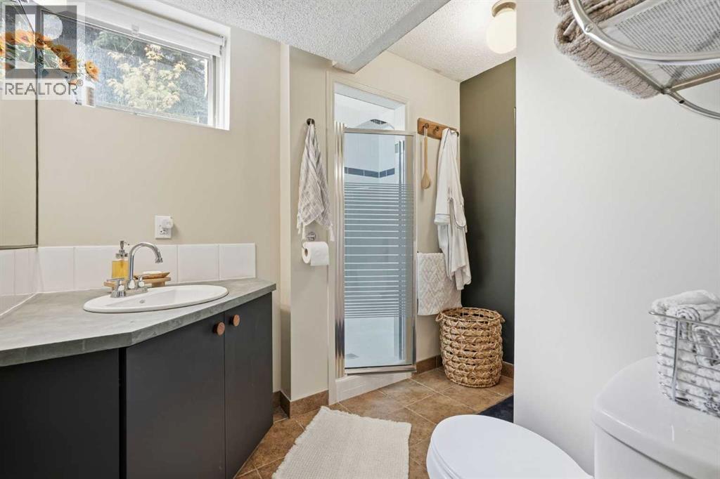 3031 23 Avenue SW, Calgary, Alberta  T3E 0J3 - Photo 36 - A2318382