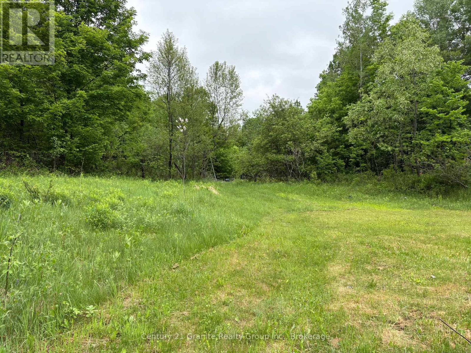 577 Lakeview Road, Bancroft, Ontario  K0L 1C0 - Photo 5 - X13414778