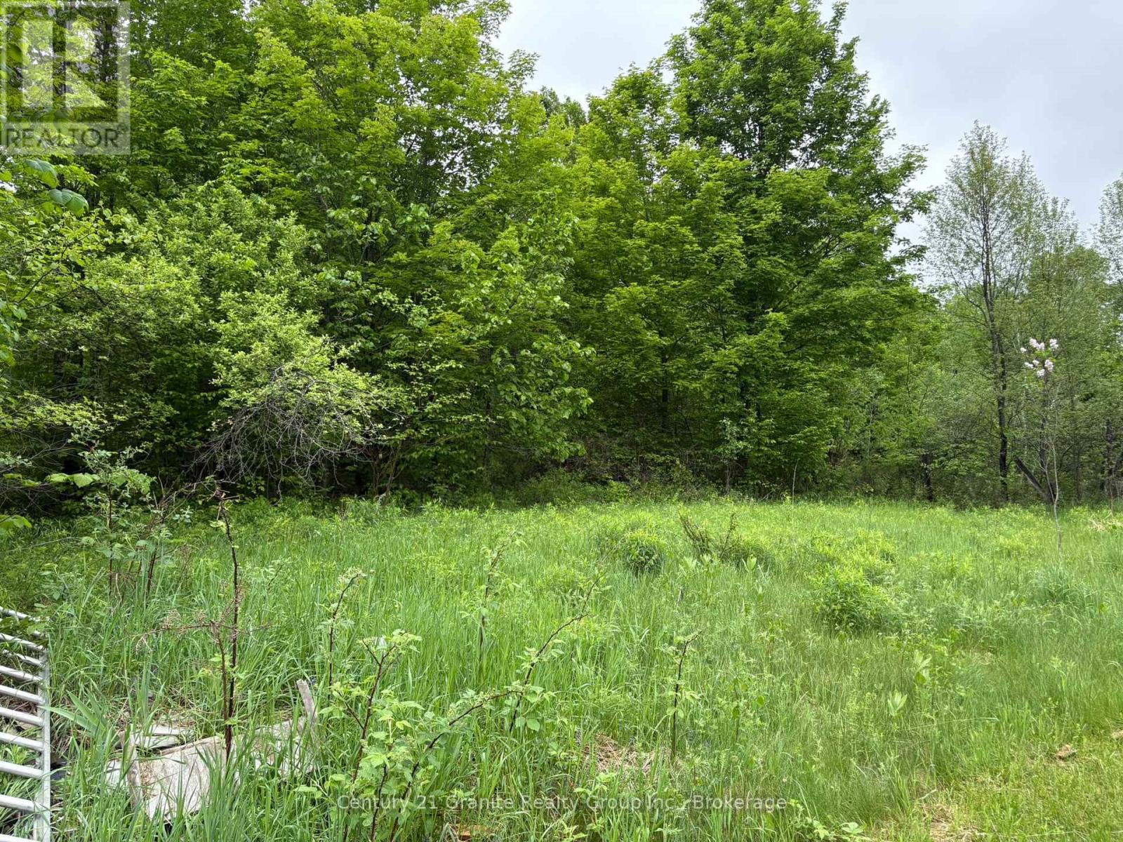 577 Lakeview Road, Bancroft, Ontario  K0L 1C0 - Photo 6 - X13414778