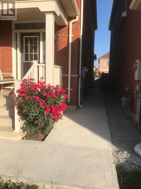 Bsmt - 20 Ridgehaven Court, Brampton, Ontario  L6P 3K7 - Photo 2 - W13414682