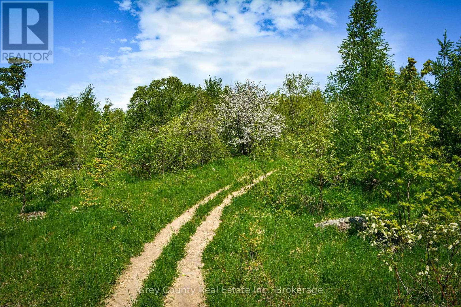 135260 9th Line, Grey Highlands, Ontario  N0C 1H0 - Photo 47 - X12802672