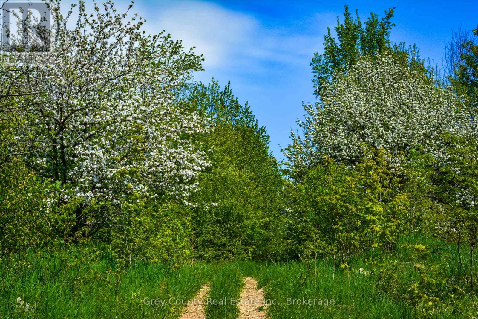 135260 9th Line, Grey Highlands, Ontario  N0C 1H0 - Photo 46 - X12802672