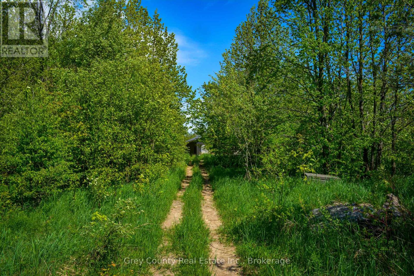 135260 9th Line, Grey Highlands, Ontario  N0C 1H0 - Photo 45 - X12802672
