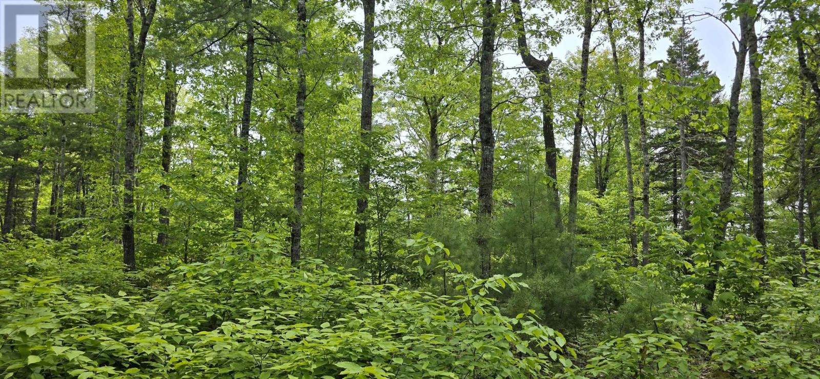 Lot 24-1 East Clifford Road, East Clifford, Nova Scotia  B4V 7R8 - Photo 10 - 202513794