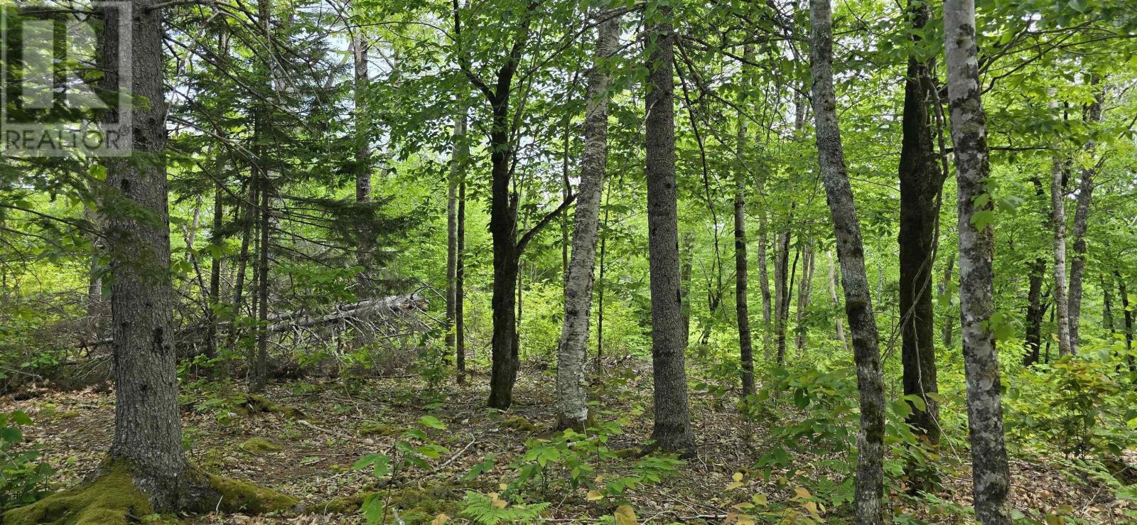 Lot 24-1 East Clifford Road, East Clifford, Nova Scotia  B4V 7R8 - Photo 15 - 202513794