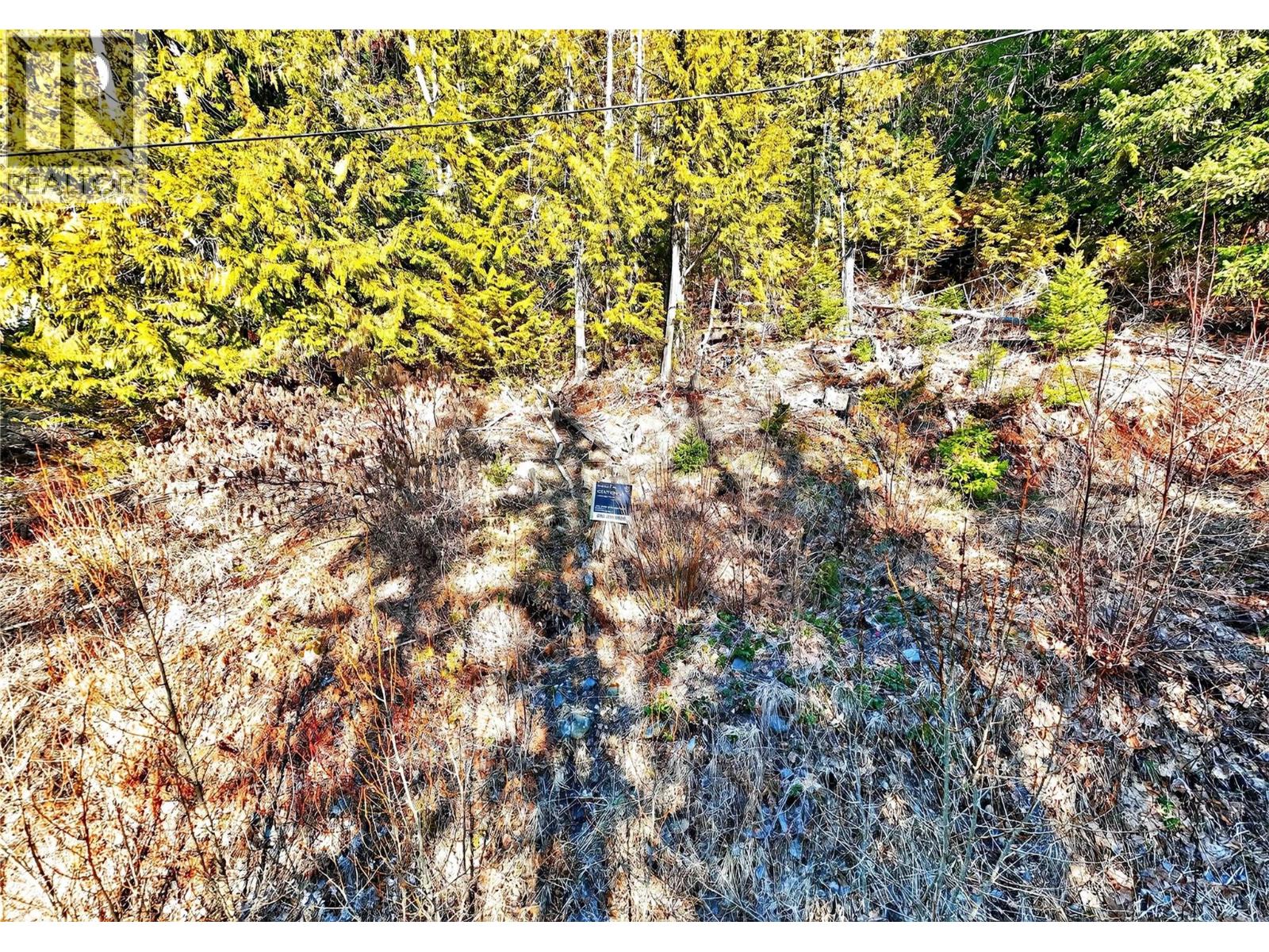 151 Vickers Trail Lot# 151, Anglemont, British Columbia  V0E 1M8 - Photo 27 - 10378288