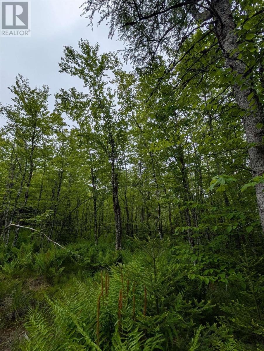 CM2J Lot CM2J Mckenzie Lane, Mount Uniacke, Nova Scotia