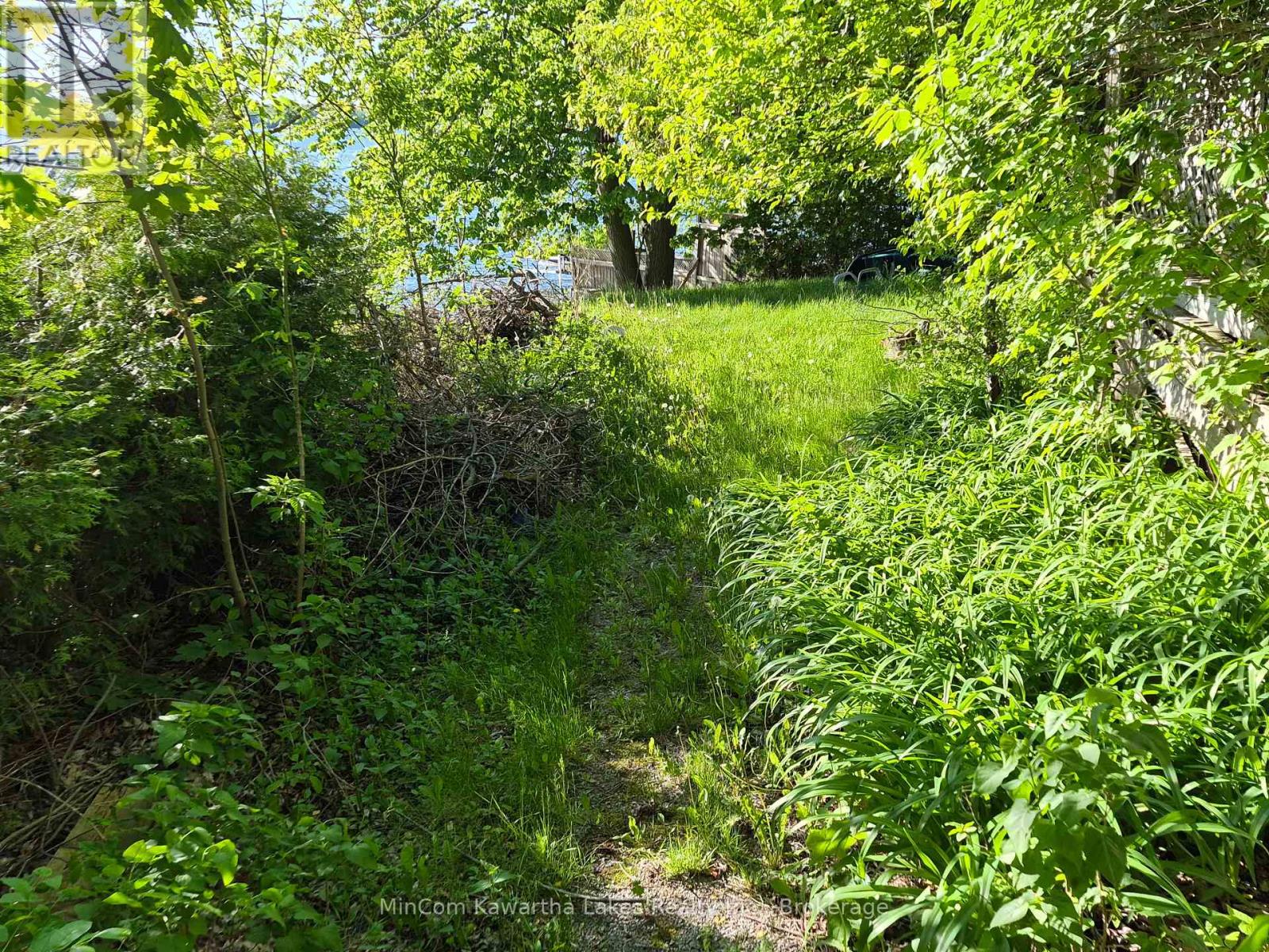 2444 Buckhorn Road, Selwyn, Ontario  K0L 2H0 - Photo 6 - X13415416