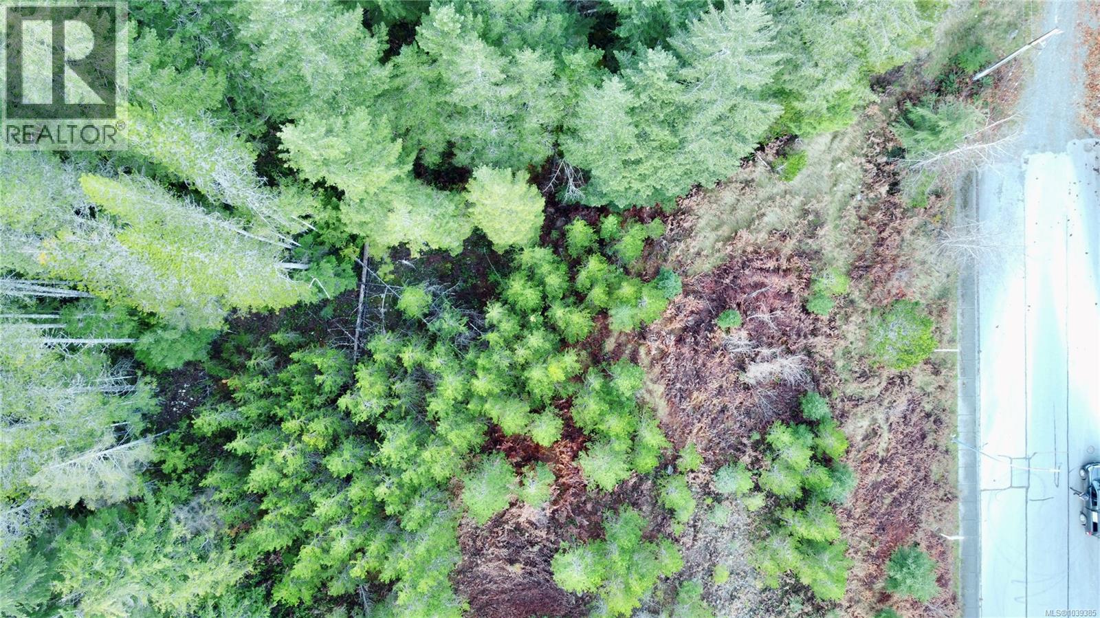 604 Scout Lake Rd, Gold River, British Columbia  V0P 1G0 - Photo 5 - 1039385