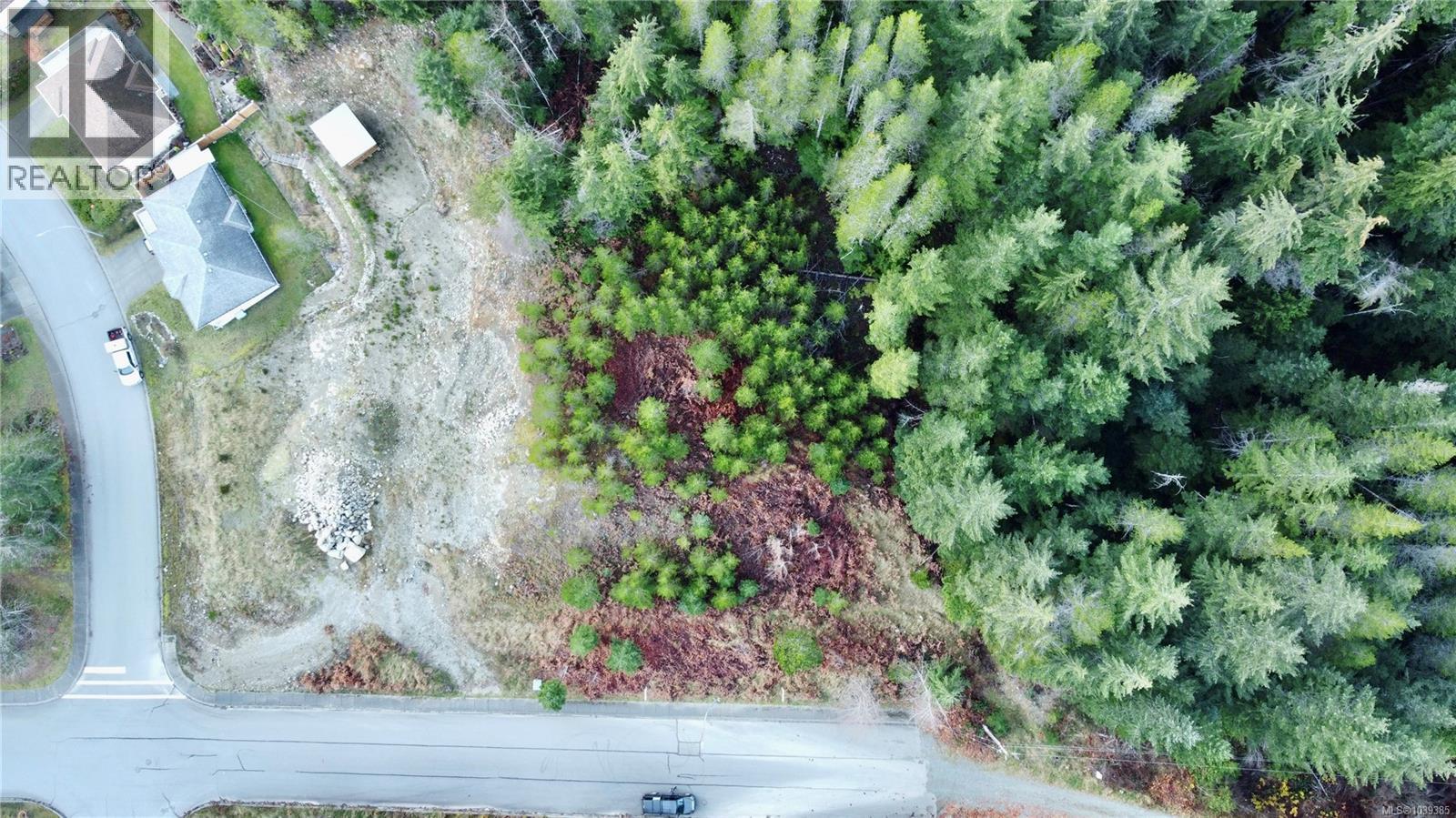 604 Scout Lake Rd, Gold River, British Columbia  V0P 1G0 - Photo 7 - 1039385