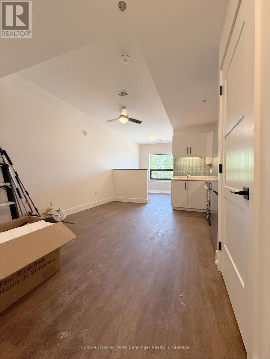 202 - 604 Queen Street S, Arran-Elderslie, Ontario  N0G 2N0 - Photo 6 - X13215648