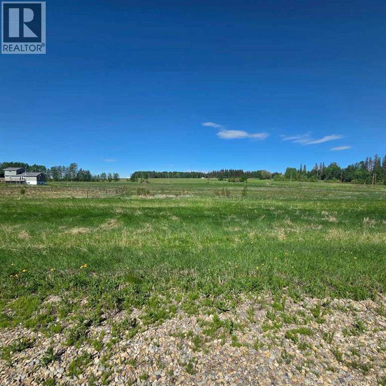 Lot 3 Range Road 175, Rural Yellowhead County, Alberta  T7E 3L7 - Photo 3 - A2318874