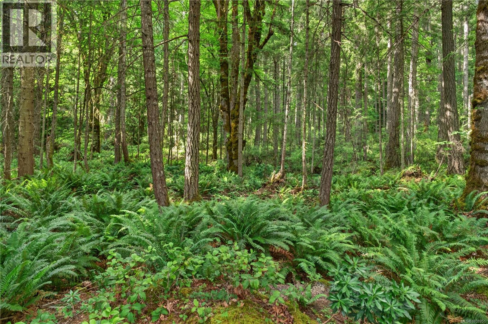 1751 Burnham Rd, Cobble Hill, British Columbia  V8H 0B3 - Photo 42 - 1038951