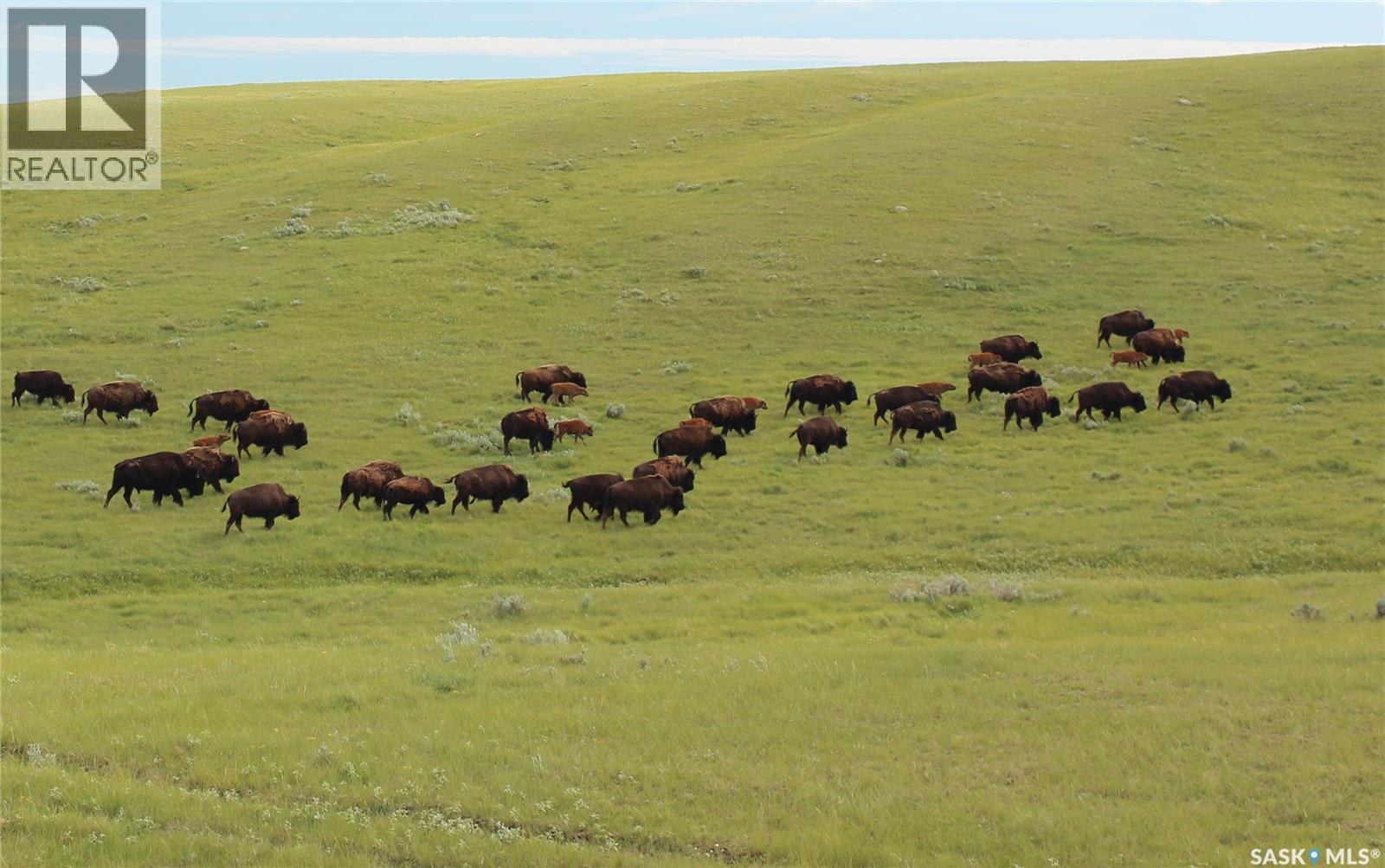 925 Acres Pasture Near Admiral, Wise Creek Rm No. 77, Saskatchewan  S0N 0B0 - Photo 1 - SK038623