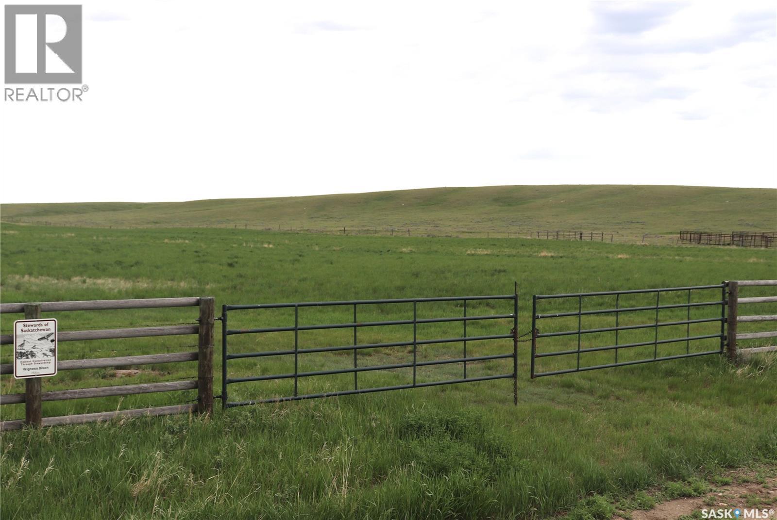 925 Acres Pasture Near Admiral, Wise Creek Rm No. 77, Saskatchewan  S0N 0B0 - Photo 11 - SK038623