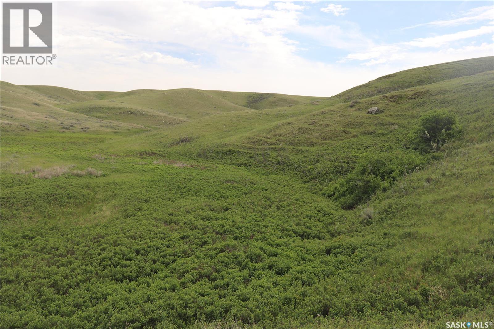 925 Acres Pasture Near Admiral, Wise Creek Rm No. 77, Saskatchewan  S0N 0B0 - Photo 15 - SK038623