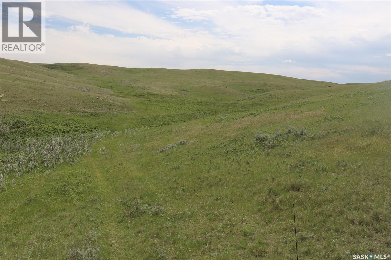 925 Acres Pasture Near Admiral, Wise Creek Rm No. 77, Saskatchewan  S0N 0B0 - Photo 18 - SK038623