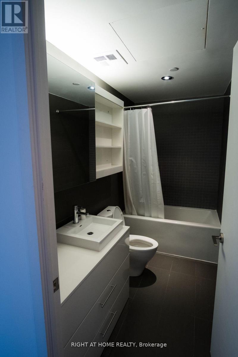 342 - 47 Lower River Street, Toronto, Ontario  M5A 0G1 - Photo 3 - C13415450