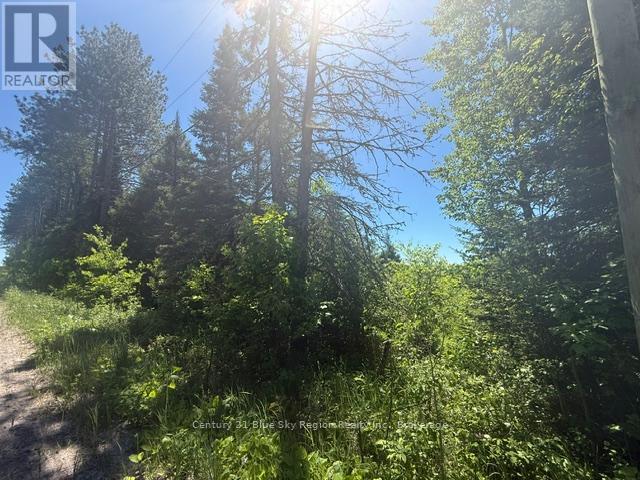 0 Con 12 Pt Lot 11 Pearceley Road, Magnetawan, Ontario  P0A 1Z0 - Photo 2 - X13415532