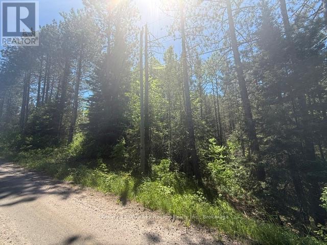 0 Con 12 Pt Lot 11 Pearceley Road, Magnetawan, Ontario  P0A 1Z0 - Photo 3 - X13415532