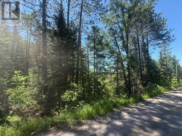 0 Con 12 Pt Lot 11 Pearceley Road, Magnetawan, Ontario  P0A 1Z0 - Photo 4 - X13415532