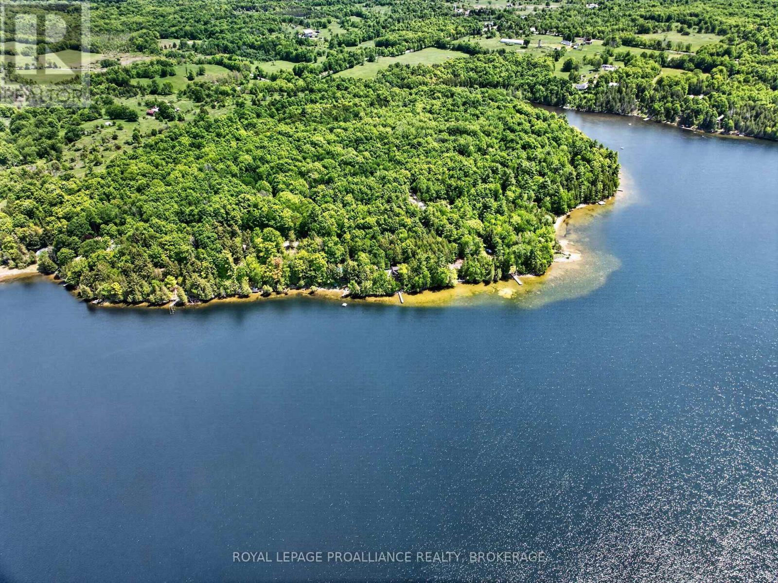 58 Lower Lake Lane, Frontenac, Ontario  K0H 1T0 - Photo 3 - X13415476