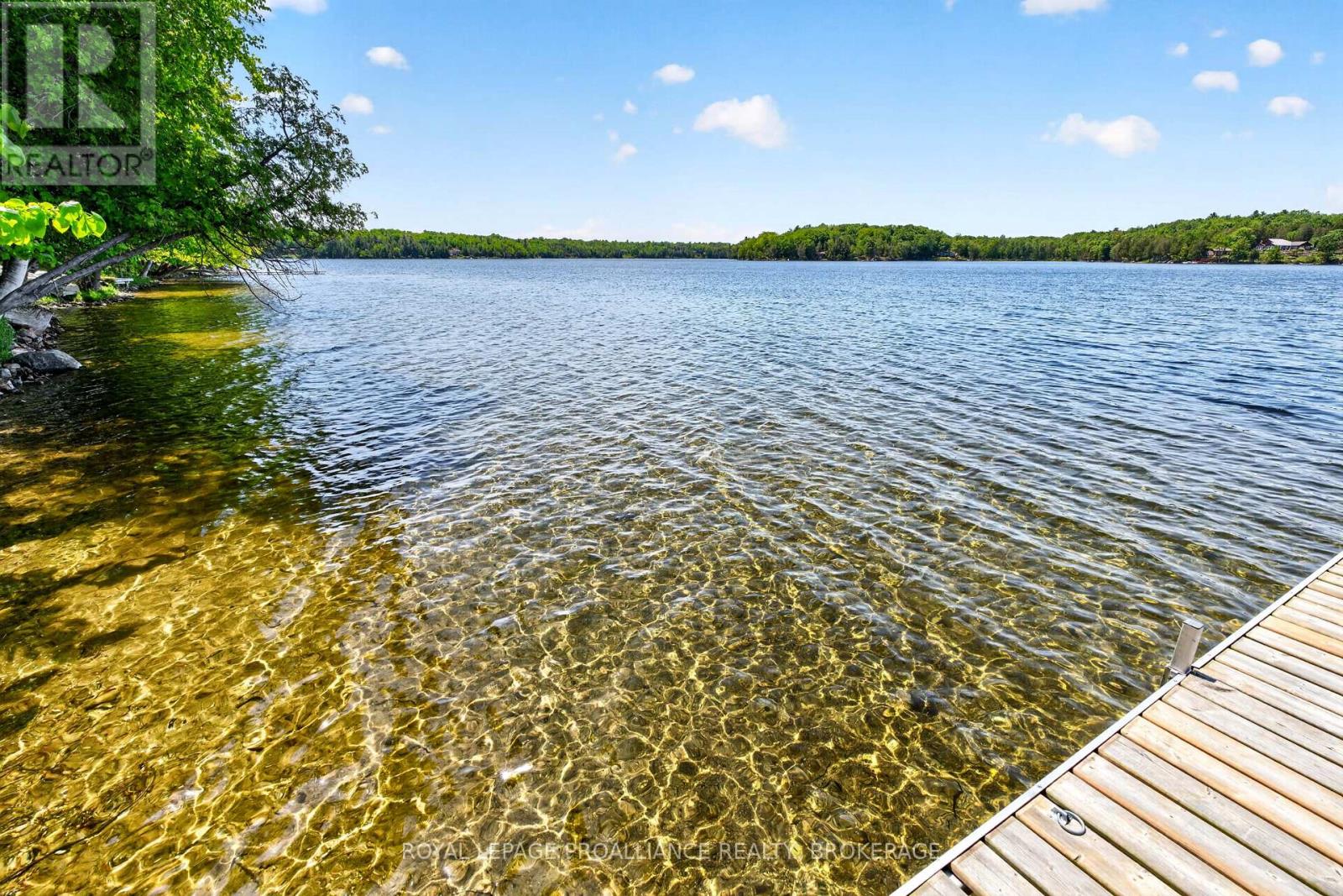 58 Lower Lake Lane, Frontenac, Ontario  K0H 1T0 - Photo 45 - X13415476