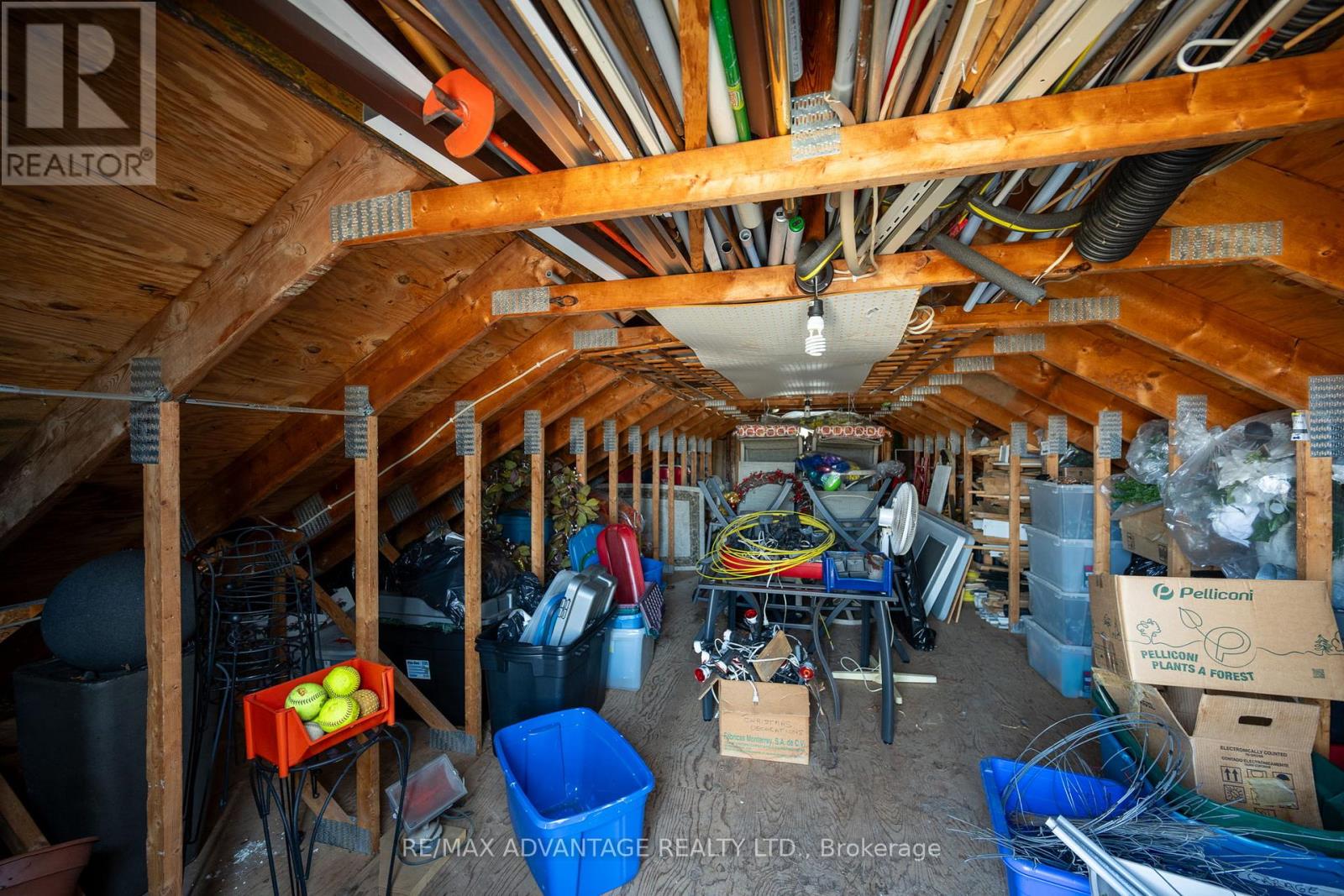 7 Mckay Street, Middlesex Centre, Ontario  N0M 2A0 - Photo 46 - X13415728