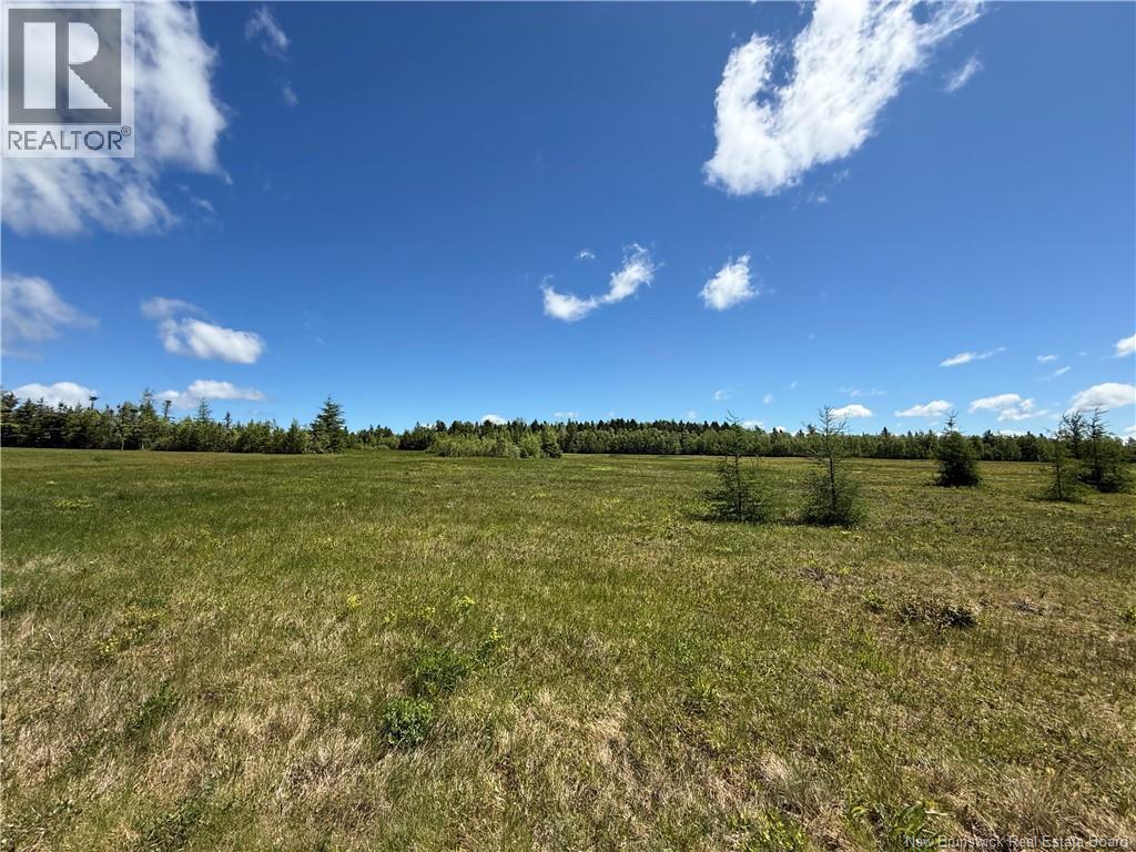 Lot 07-7 Windy Hill, Indian Mountain, New Brunswick  E1G 3B1 - Photo 4 - NB139841