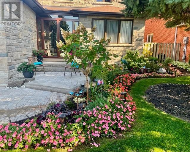 279 Manchester Drive, Newmarket, Ontario  L3Y 6J4 - Photo 6 - N13412796