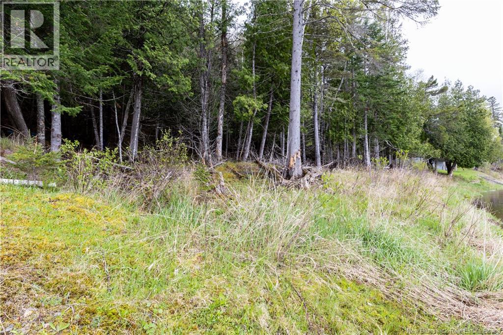 Lot Enterprise Road, Enterprise, New Brunswick  E7G 1M3 - Photo 11 - NB140705