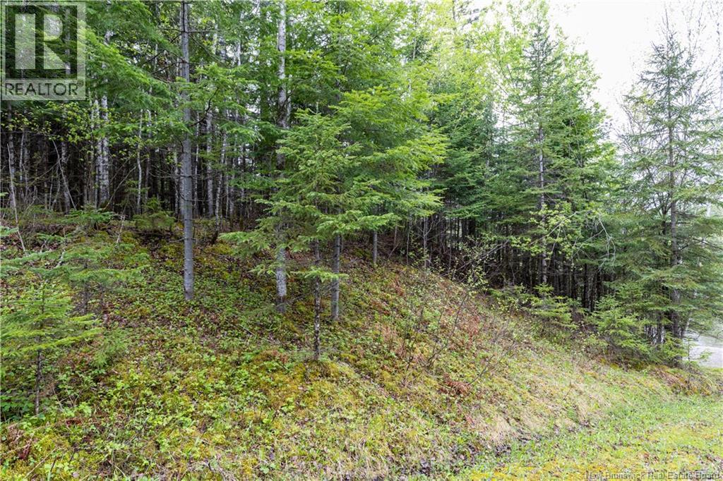 Lot Enterprise Road, Enterprise, New Brunswick  E7G 1M3 - Photo 14 - NB140705