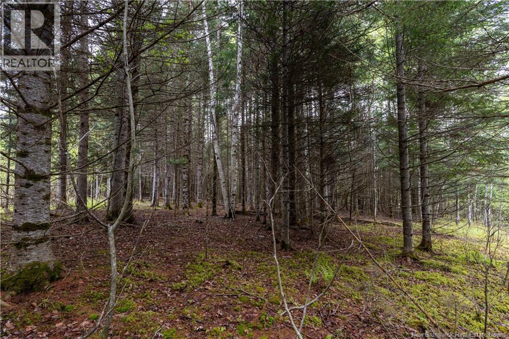 Lot Enterprise Road, Enterprise, New Brunswick  E7G 1M3 - Photo 15 - NB140705