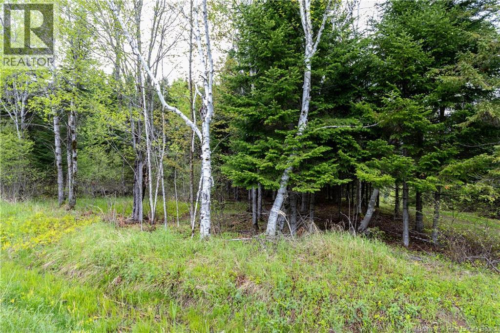 Lot Enterprise Road, Enterprise, New Brunswick  E7G 1M3 - Photo 16 - NB140705