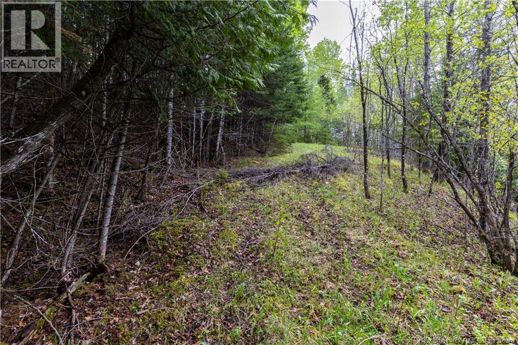 Lot Enterprise Road, Enterprise, New Brunswick  E7G 1M3 - Photo 18 - NB140705