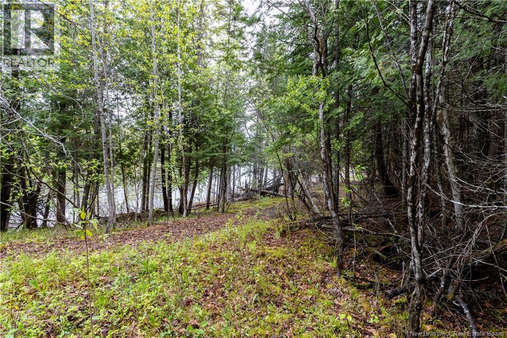 Lot Enterprise Road, Enterprise, New Brunswick  E7G 1M3 - Photo 21 - NB140705