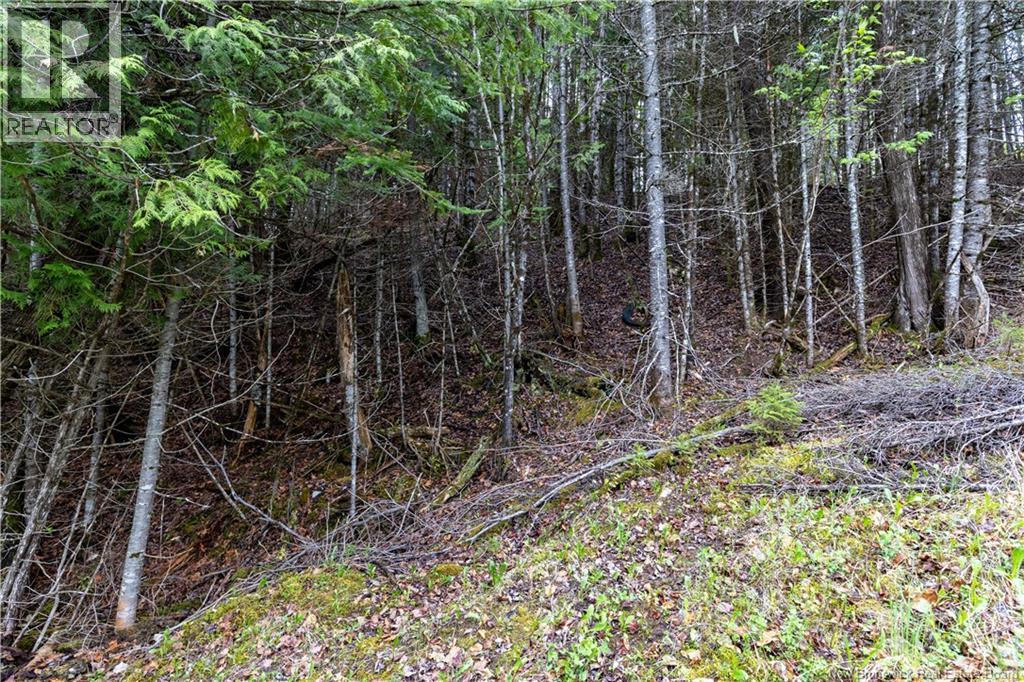 Lot Enterprise Road, Enterprise, New Brunswick  E7G 1M3 - Photo 22 - NB140705
