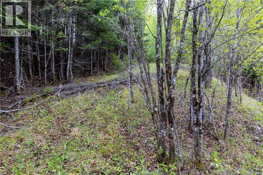 Lot Enterprise Road, Enterprise, New Brunswick  E7G 1M3 - Photo 23 - NB140705
