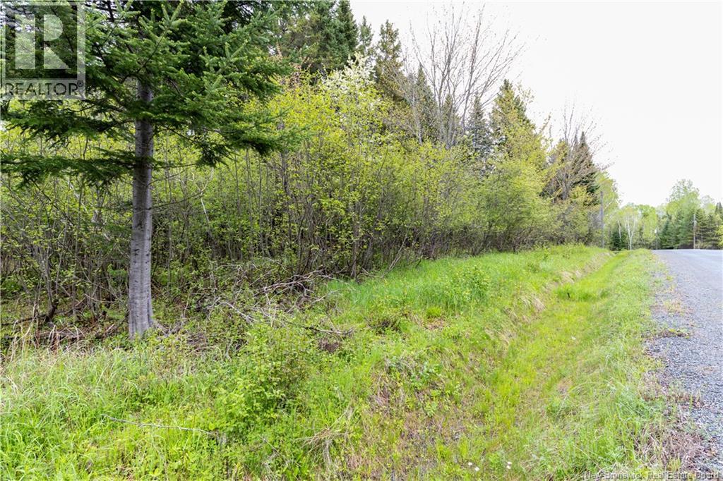 Lot Enterprise Road, Enterprise, New Brunswick  E7G 1M3 - Photo 26 - NB140705