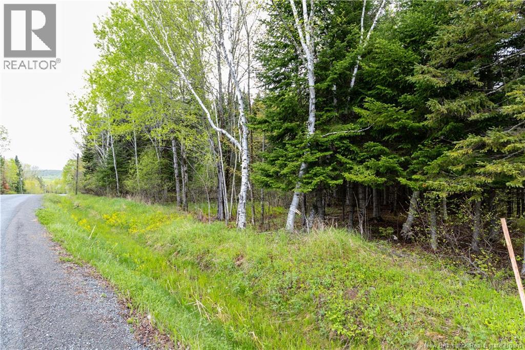 Lot Enterprise Road, Enterprise, New Brunswick  E7G 1M3 - Photo 27 - NB140705