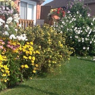 305 Stanley Street, Barrie, Ontario  L4M 6X6 - Photo 31 - S13415716