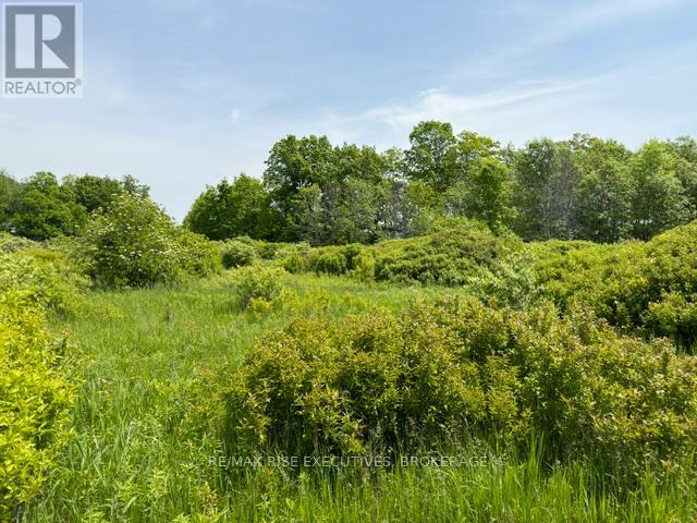 Pt Lt 5 Wyona Lane, Frontenac Islands, Ontario  K0H 2Y0 - Photo 7 - X13120796