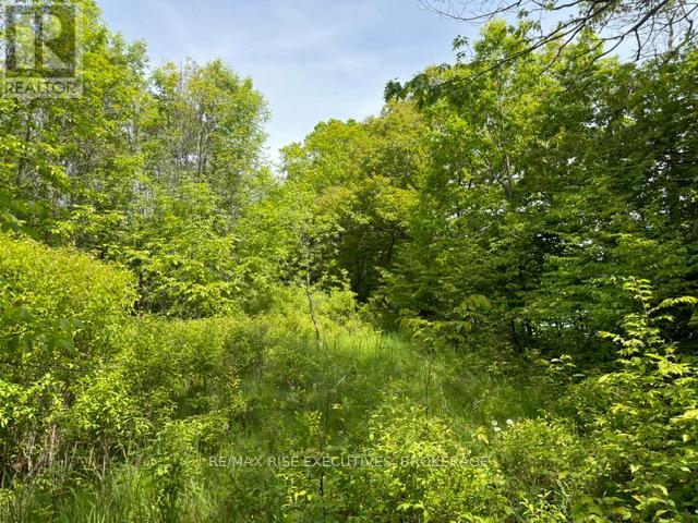 Pt Lt 5 Wyona Lane, Frontenac Islands, Ontario  K0H 2Y0 - Photo 6 - X13120796
