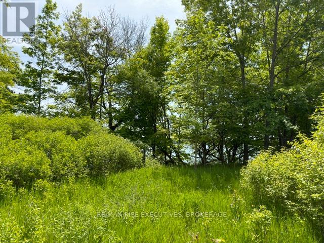 Pt Lt 5 Wyona Lane, Frontenac Islands, Ontario  K0H 2Y0 - Photo 5 - X13120796